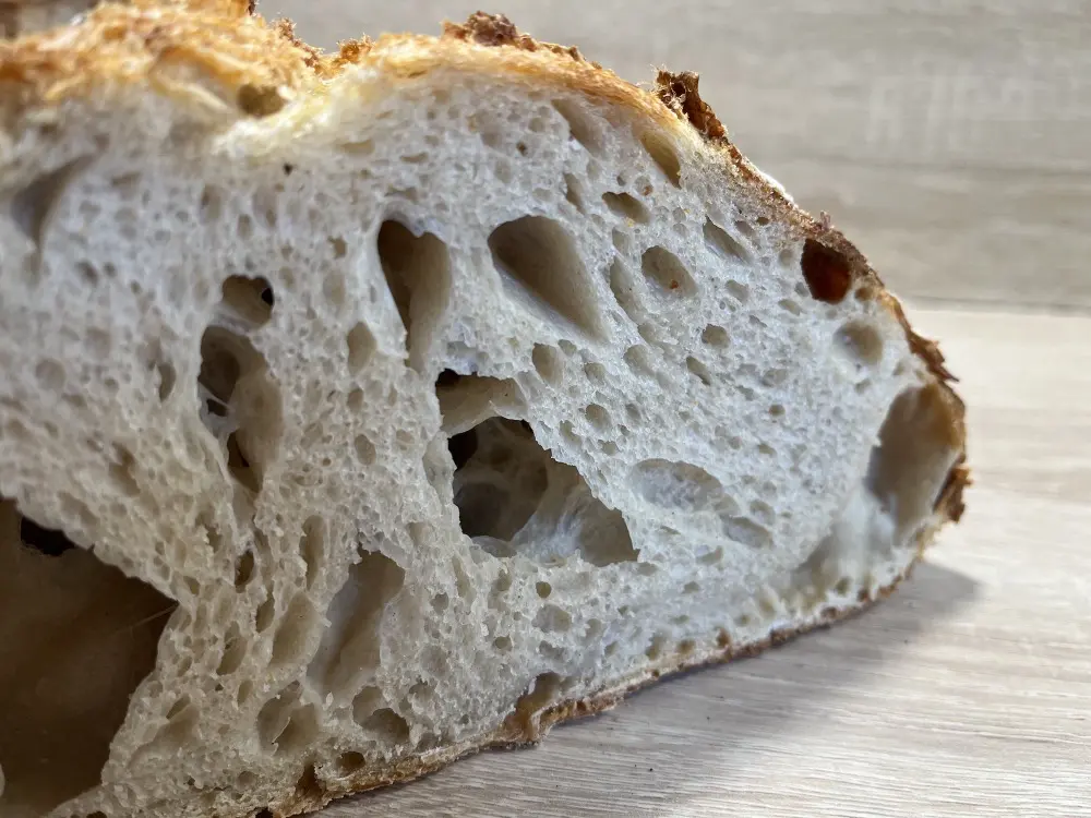 Spanish land-bread